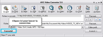 Cliquer pour agrandir