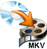 Blu-ray to MKV Converter